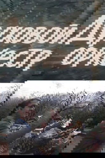 Audre Lorde: The Berlin Years 1984-1992