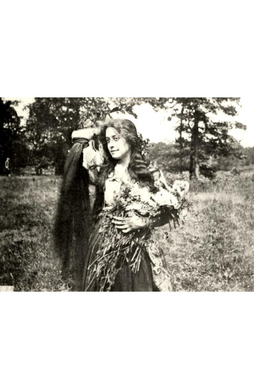 Kafe dhe shumë më tepër poster