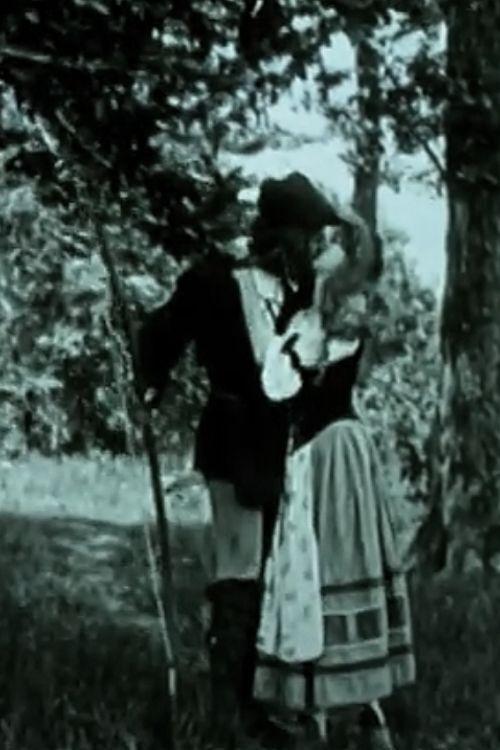 Fitna dhe Hassan poster