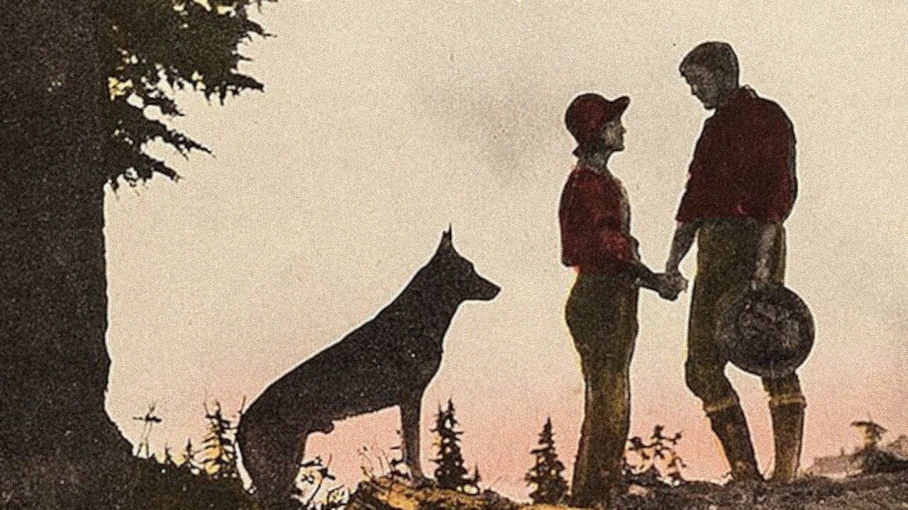 Zemërimi i Të Vdekurve backdrop