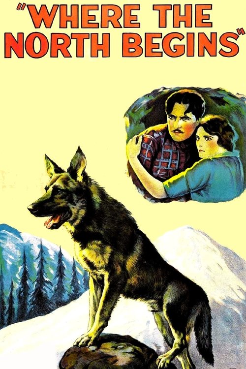 Zemërimi i Të Vdekurve poster