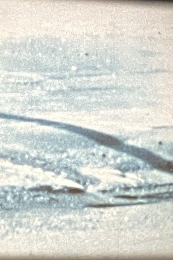 Dy familje në palmë