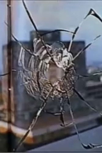 Imazhi i një Vrasjeje: Një Pamje e Re mbi Filmin Zapruder poster