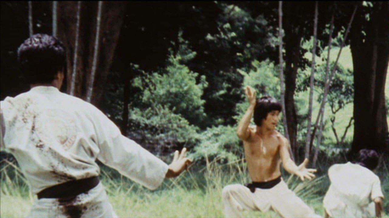 Në kërkim backdrop