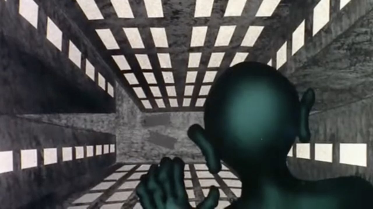 Lulja e Dimrit backdrop