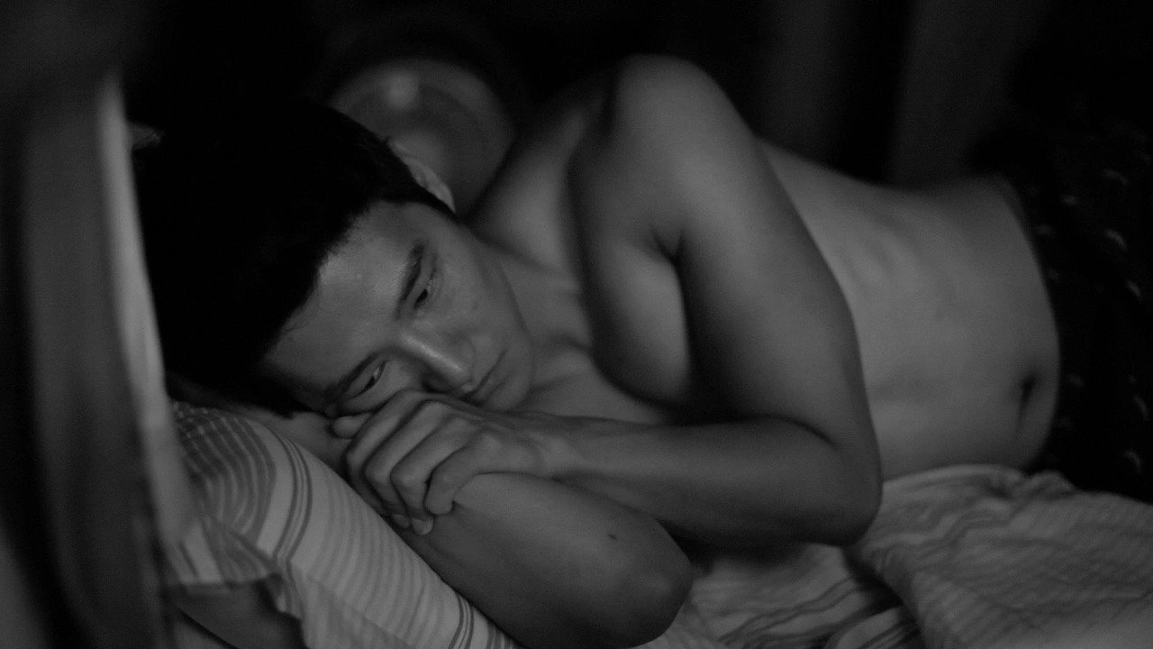 Gjuetia e Dajës backdrop