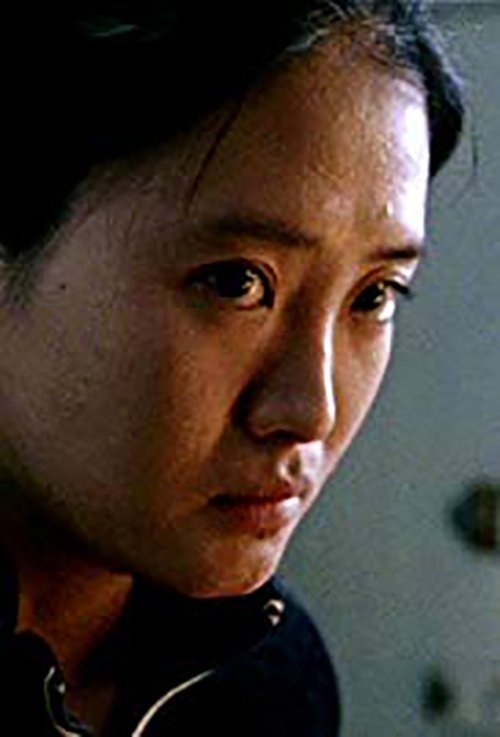 Zemra e bishës poster