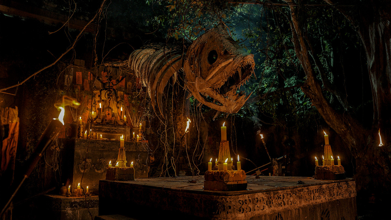 Lufta pa Nder dhe Njeriut backdrop