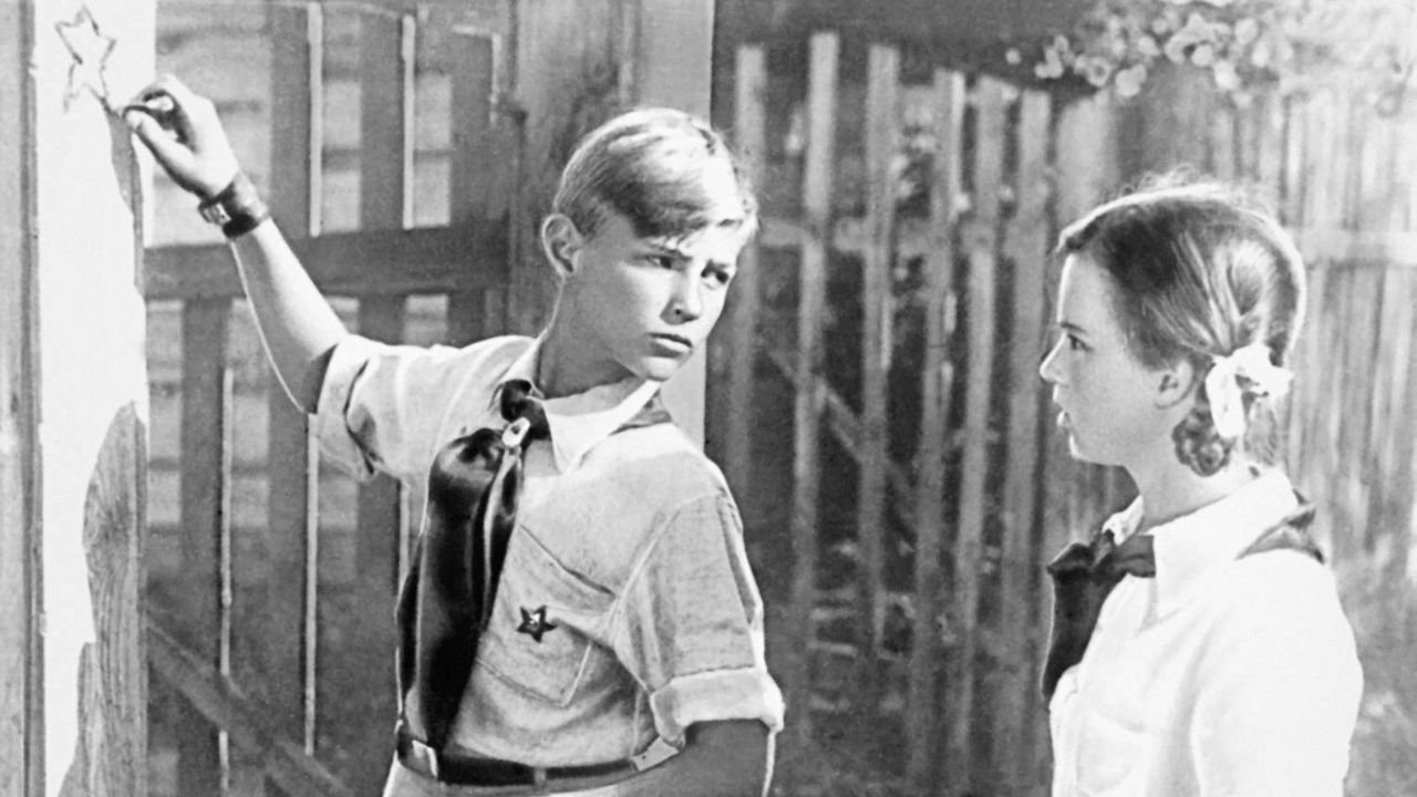 Folle Amanda backdrop