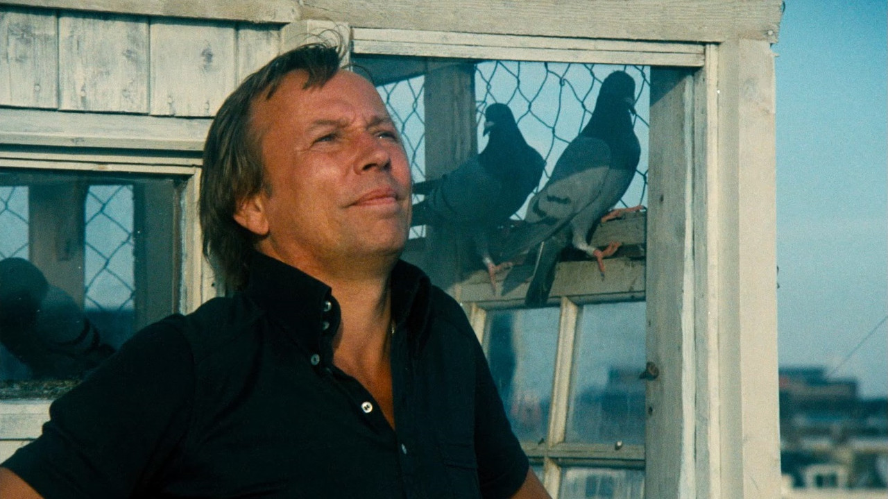 Muri Misterioz backdrop