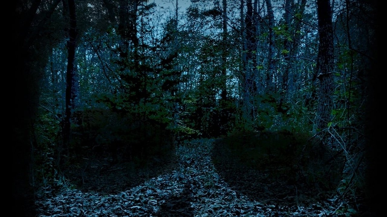 Kënga Bën Jetën Të Bukur backdrop