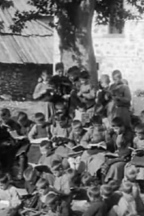 Trampen drejt Veriut poster