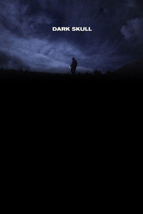 Udhëtimi i Parë i Syd Barrett poster