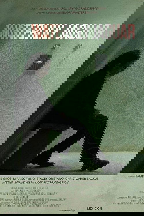 Agjenti juaj super Flit poster