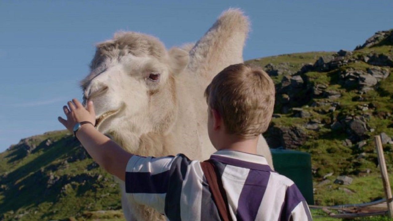 PriPara Filmi: Të Gjithë, Bashkohuni! Prism☆Tours backdrop