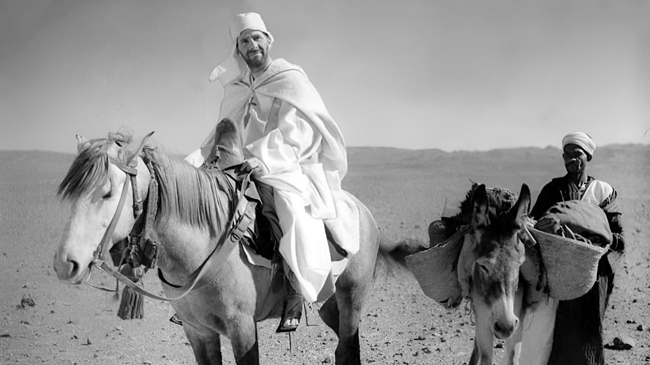 Cirku do të jetë backdrop