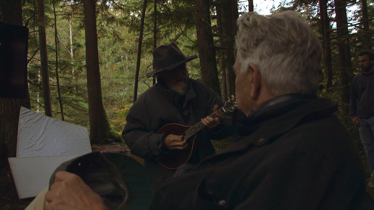 Yjet Shkëlqejnë Kudo backdrop