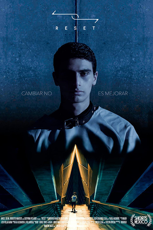 Our Wonderful Years poster