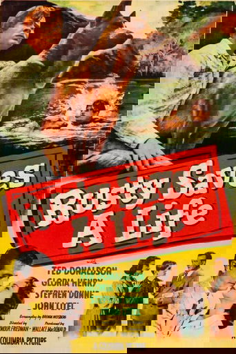 Big Country: Live at Rockpalast