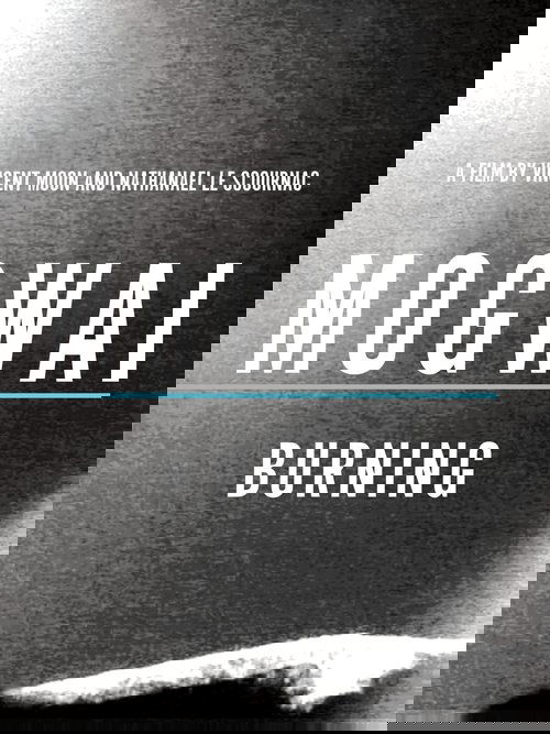 Cameron Esposito: Materiali për Martesë poster