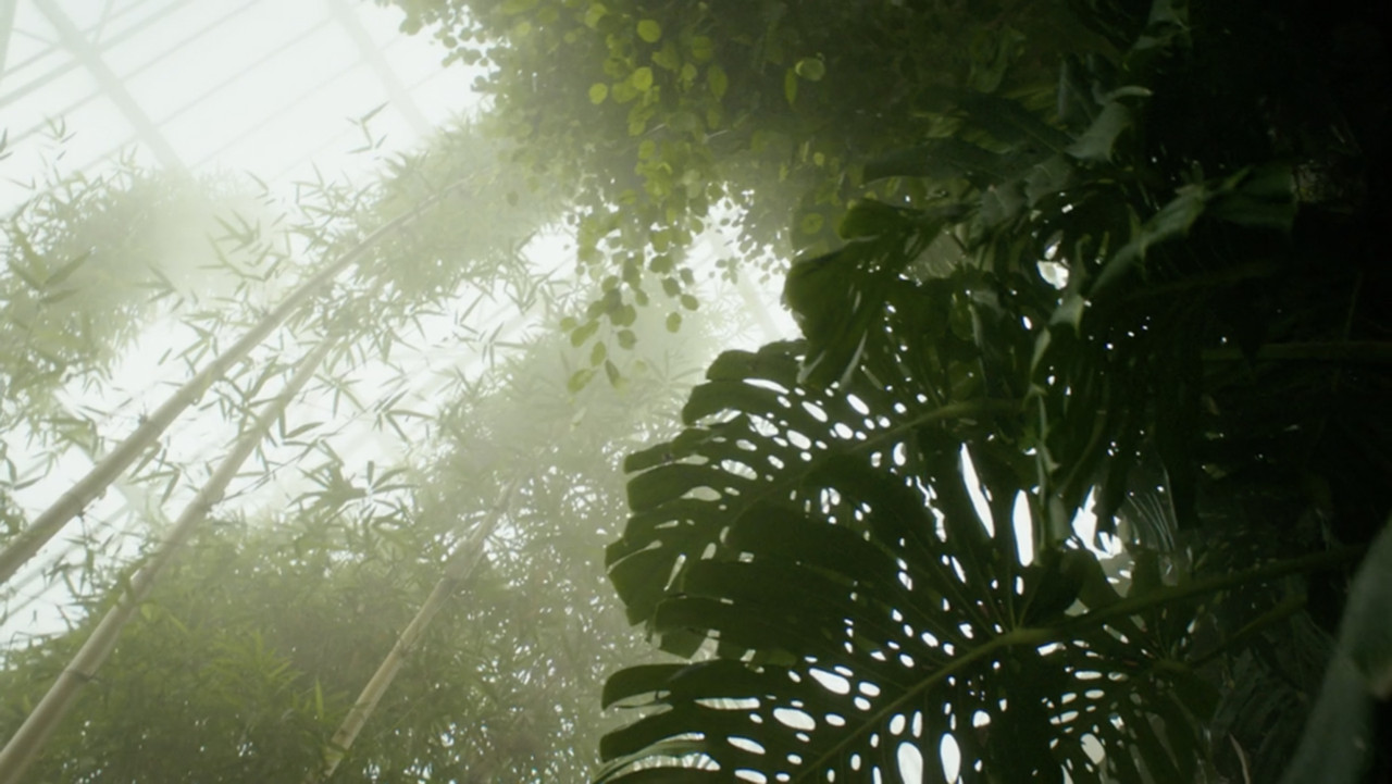 Fundjava e Familjes backdrop