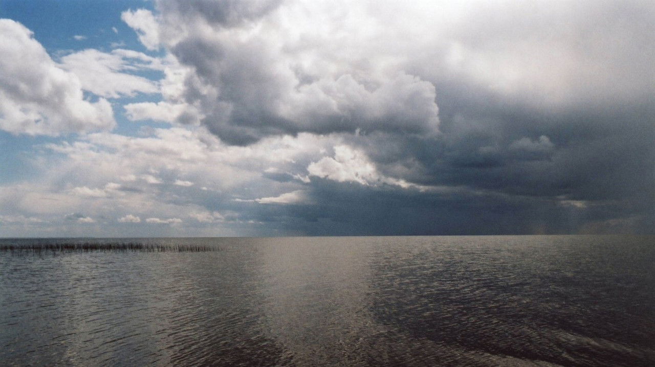 Shiko Zogun backdrop