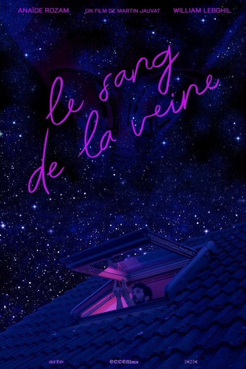 Amber në Shqipëri poster