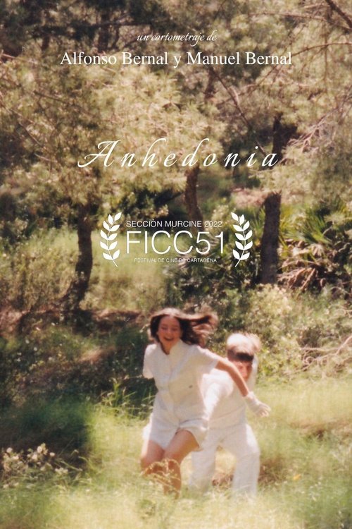 Invitation to the Enchanted Town poster