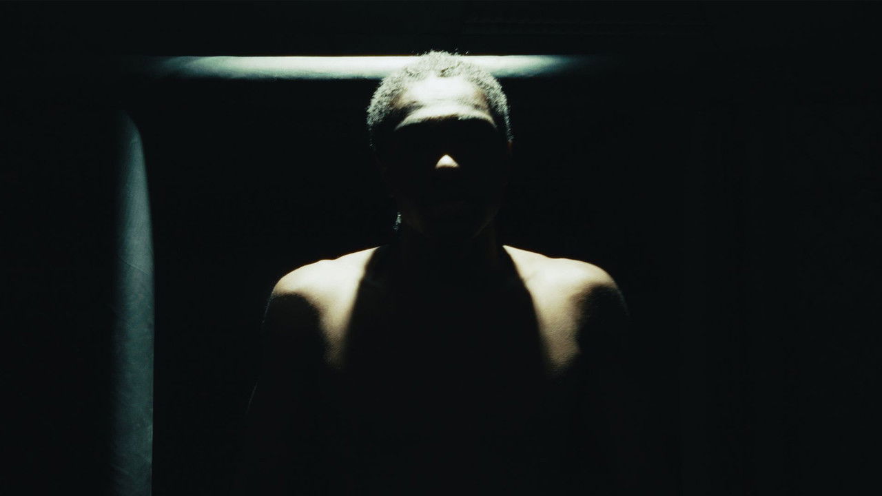 Njeriu i Bukur backdrop