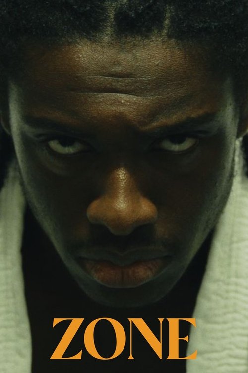 Njeriu i Bukur poster