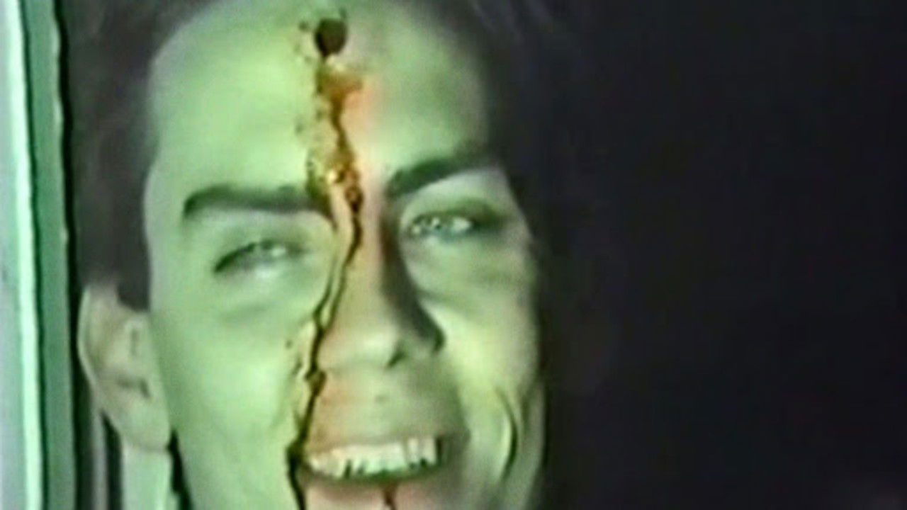 Koleksioni Cousteau N°7-2 | Nata e Kalmarit backdrop