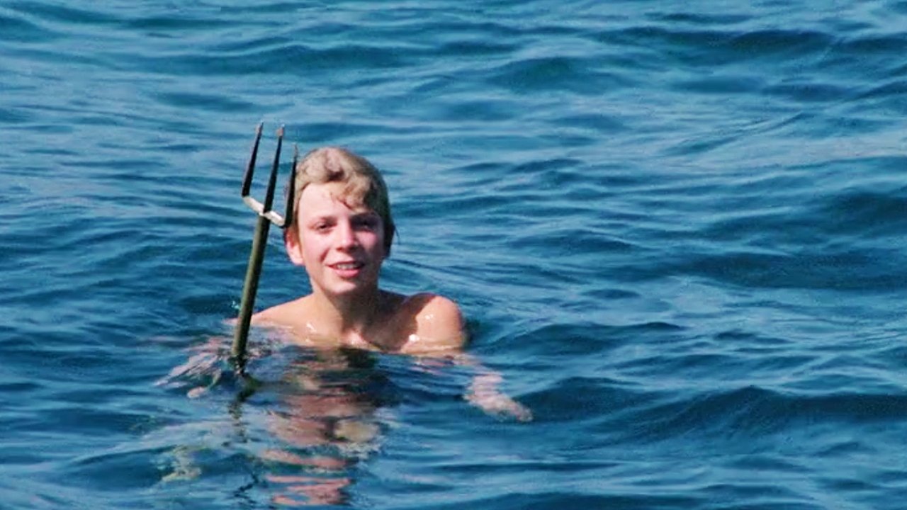 The Colors of Iris backdrop