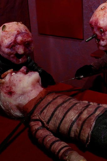 Jeta gjatë kohës së luftës