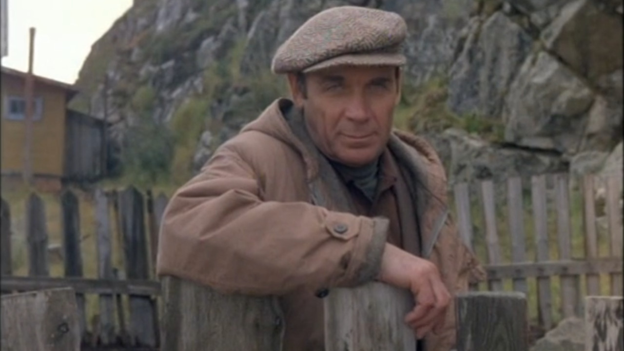 Summer of Director Oh backdrop