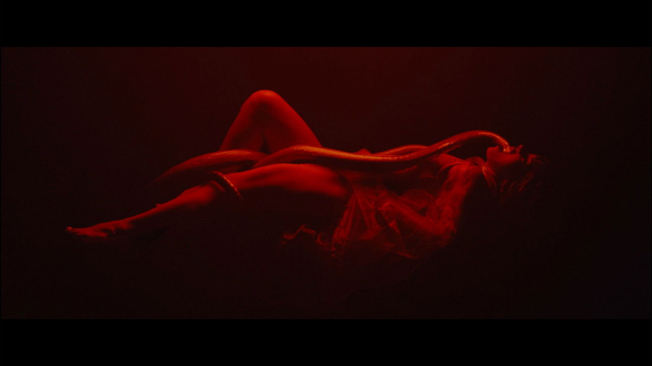 Invasioni i Privatësisë backdrop