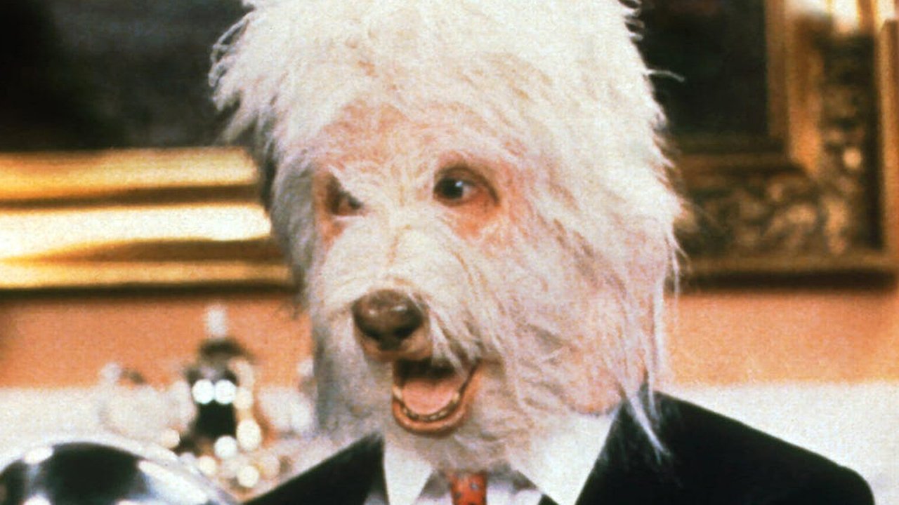 Për Lartësinë Tuaj Vetëm backdrop