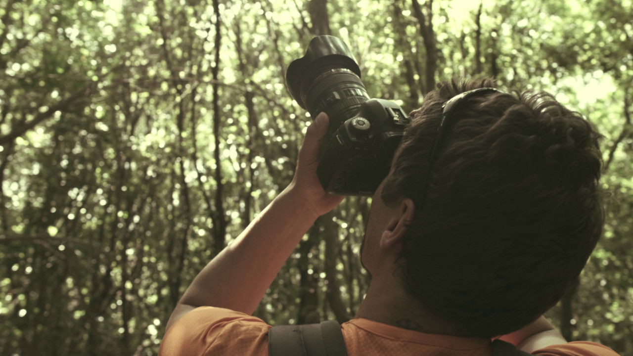 Çfarë i ndodhi Marisë backdrop
