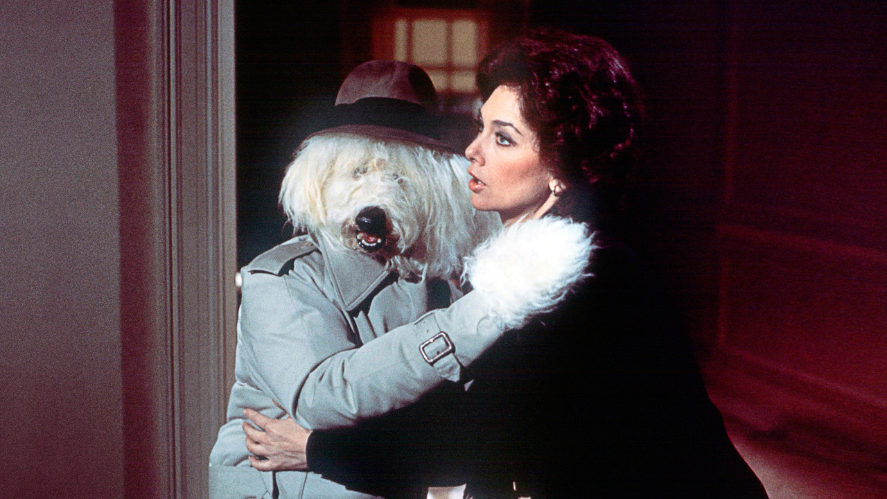 Ne Kurrë Nuk Vdesim! backdrop