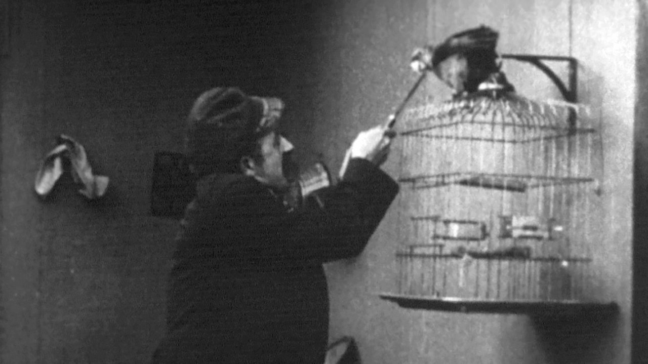 Rwanda dhe Julieta backdrop