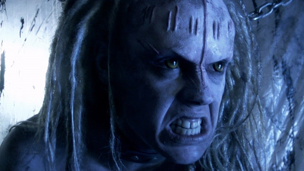 Dita e Senekës backdrop