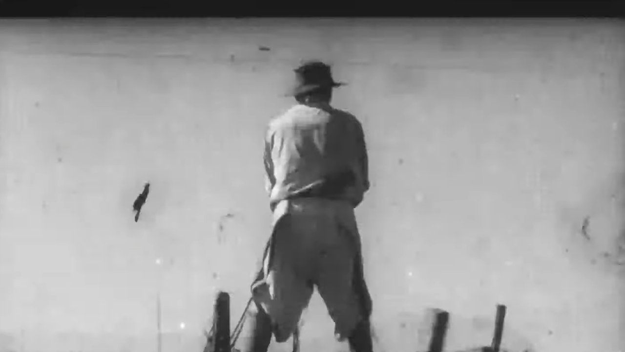 Ato vajza kaq pu backdrop