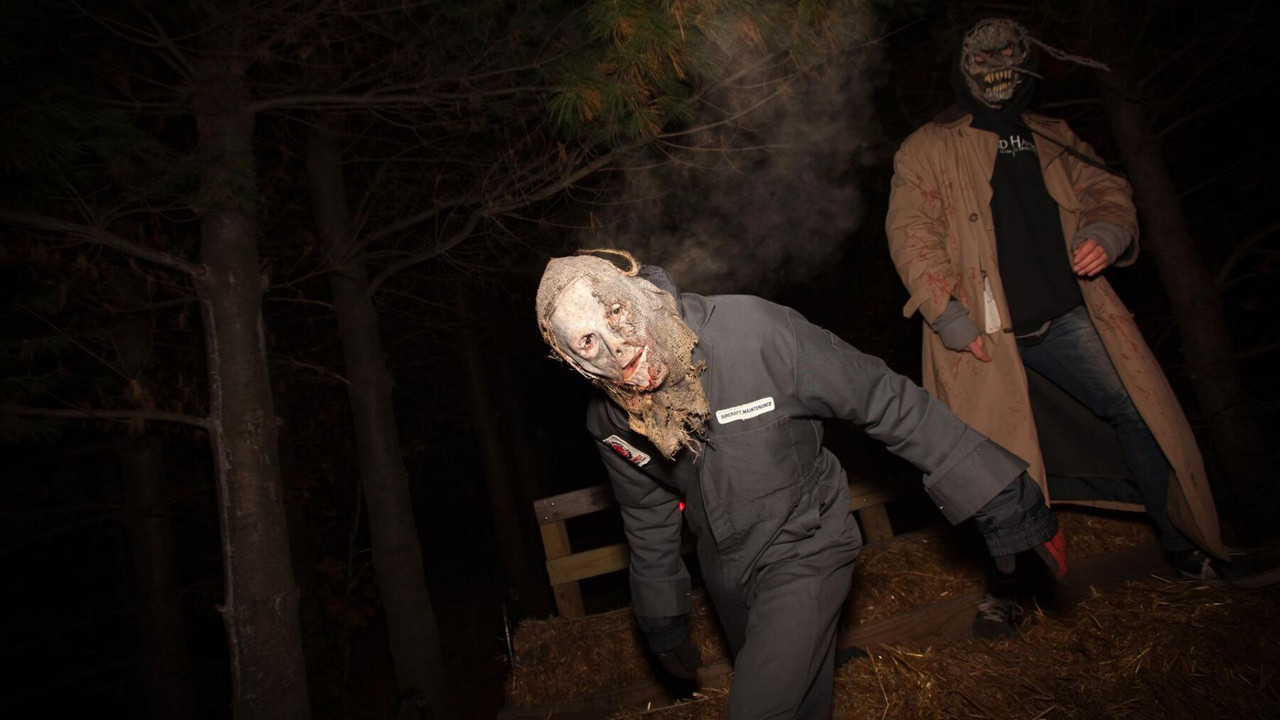 Kamera e Sinqertë e Elmerit backdrop