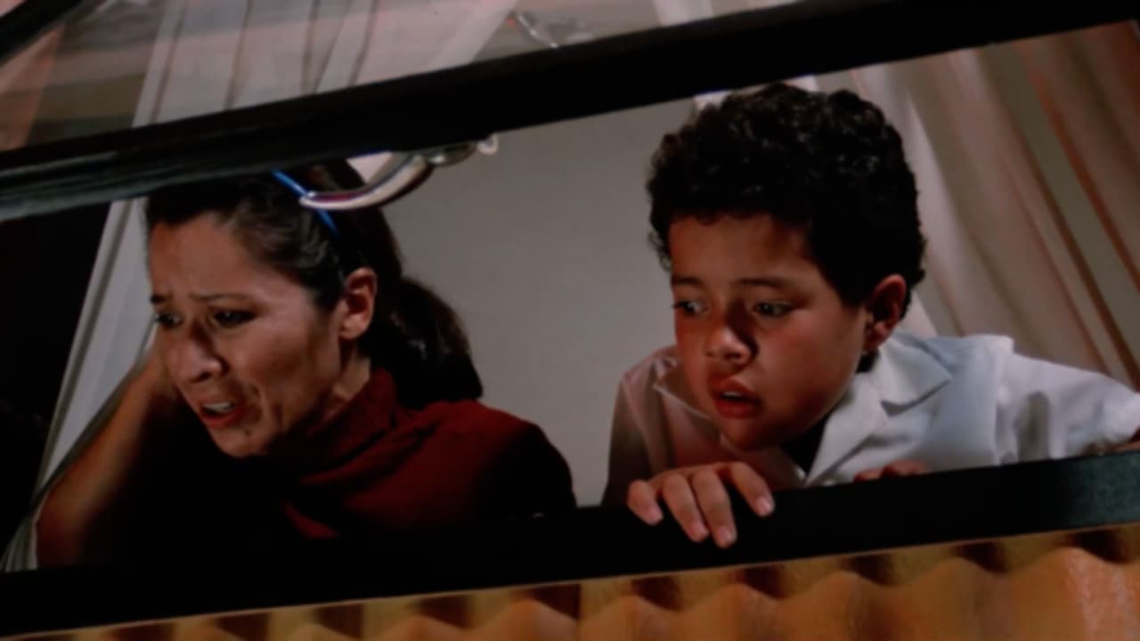 Të gjitha Festat e Nesërme backdrop