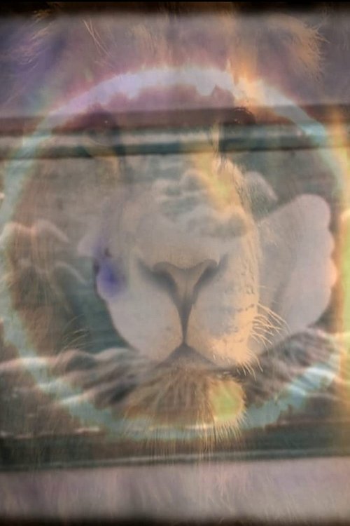 Një Vend i Errët poster