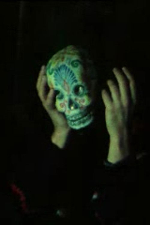 Zombitë Vudu të Teksasit poster