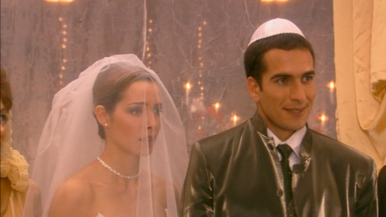 Miqtë e Lumtur të Pemëve Pushimi i Dimrit backdrop