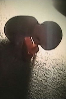 Gjuetia e Arinjve poster