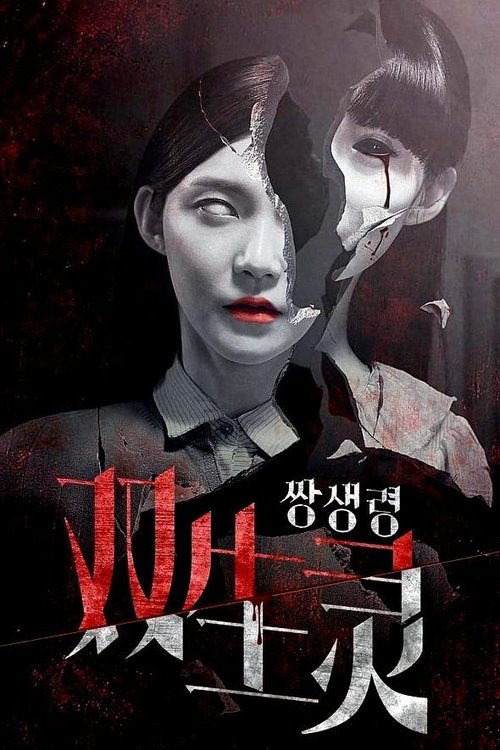 Bakerja dhe kozmonauti poster