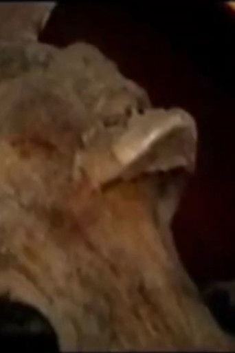 Antonioni: Dokumente dhe Dëshmi