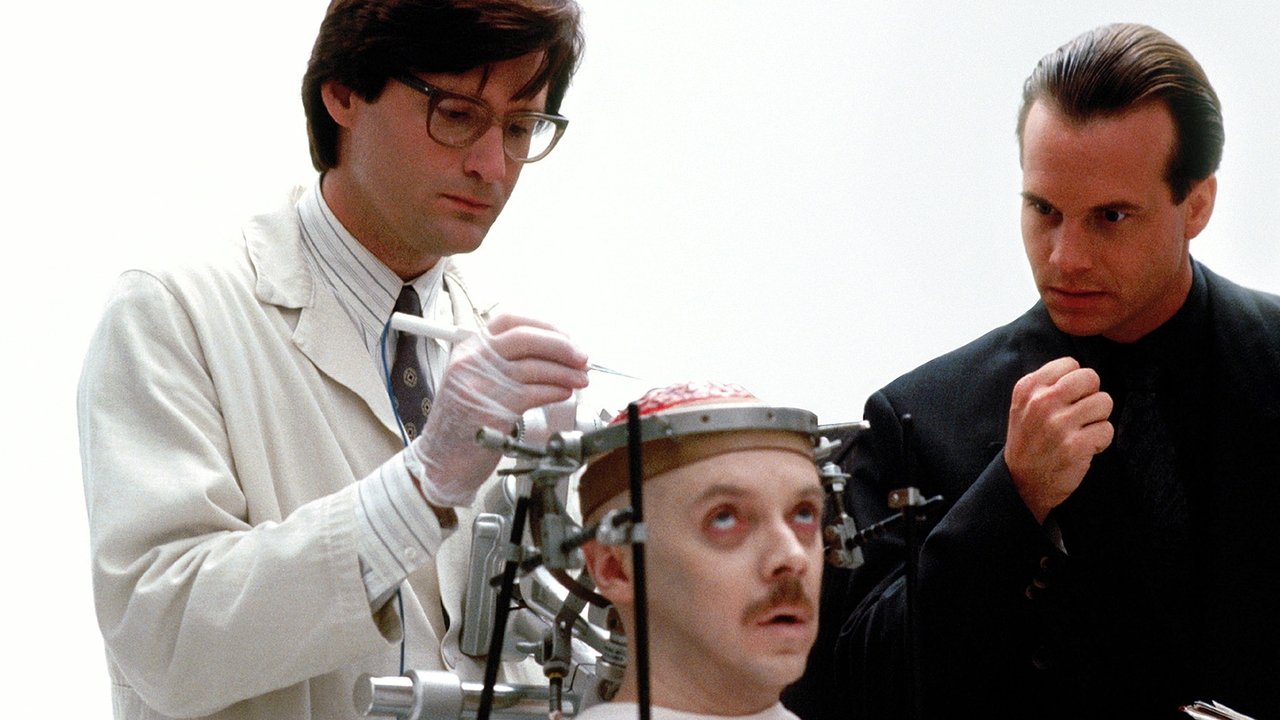 Lugina e Hakmarrjes backdrop